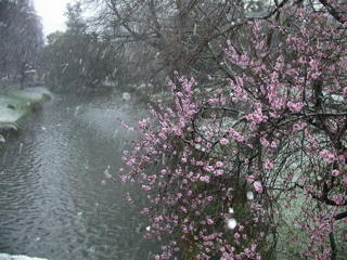 DSCN3449.JPG